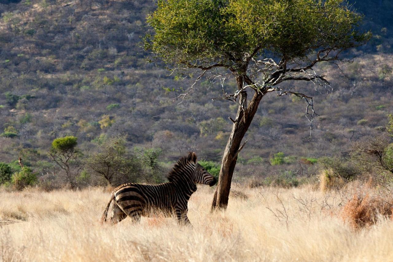 Gabus Game Ranch Villa Otavi Exterior photo